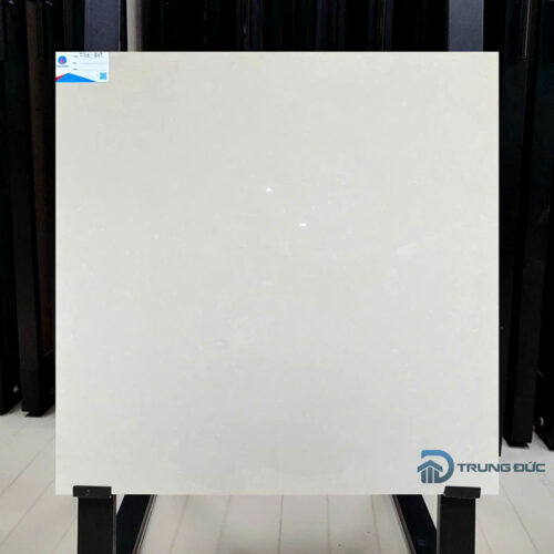 Gạch 80x80 Viglacera TS1-817 màu trắng ngà