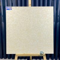 Gạch 80x80 Viglacera TS2-812 granite hai da