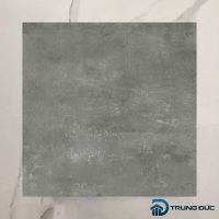 Gạch Viglacera Cửu Long CL-BS6603 face 1