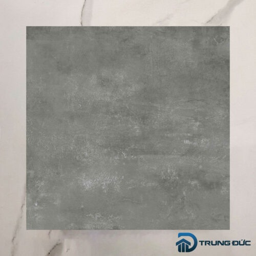 Gạch Viglacera Cửu Long CL-BS6603 face 1