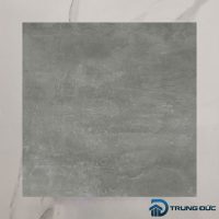 Gạch Viglacera Cửu Long CL-BS6603 face 2