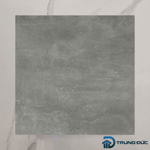 Gạch Viglacera Cửu Long CL-BS6603 face 2