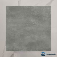 Gạch Viglacera Cửu Long CL-BS6603 face 3