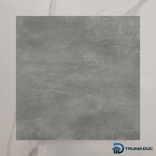 Gạch Viglacera Cửu Long CL-BS6603 face 3