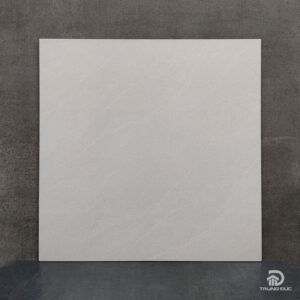 Gạch lát men khô 50x50 Viglacera HM504