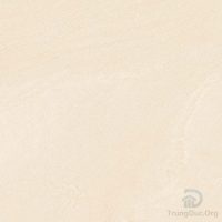 Gạch Apodio 66112301 60x60 Bán Sứ