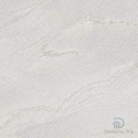 Gạch Apodio 66112302 men sugar màu ghi, kích thước 60x60 cm