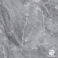 Gạch Apodio 66124014 men sugar vân đá ghi đậm, kích thước 60x60 cm