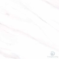 Gạch Apodio 66135030 men bóng màu trắng vân mây, kích thước 60x60 cm