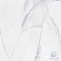 Gạch Apodio 66181023 men bóng vân đá trắng, kích thước 60x60 cm