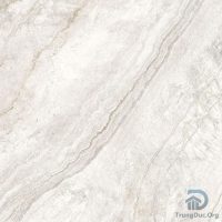 Gạch Apodio 66187024 men bóng màu ghi vân đá, kích thước 60x60 cm