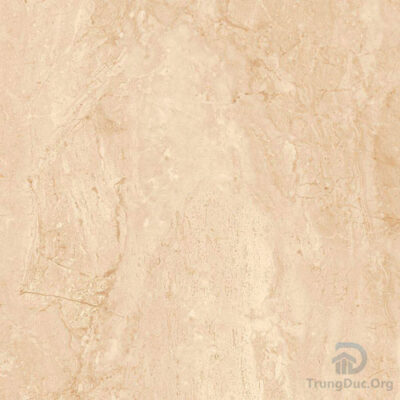 Gạch Apodio 66222050 men sugar màu kem vân đá, kích thước 60x60 cm