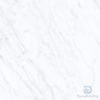 Gạch Apodio 66281005 men bóng màu trắng vân đá, kích thước 60x60 cm