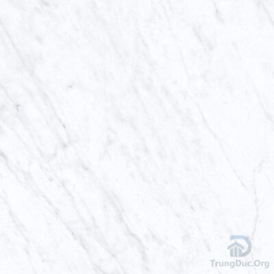 Gạch Apodio 66281005 men bóng màu trắng vân đá, kích thước 60x60 cm