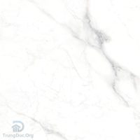 Gạch Apodio 66281033 men bóng màu trắng vân đá, kích thước 60x60 cm