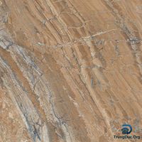 Gạch Apodio 66283015 men bóng màu nâu vân đá, kích thước 60x60 cm