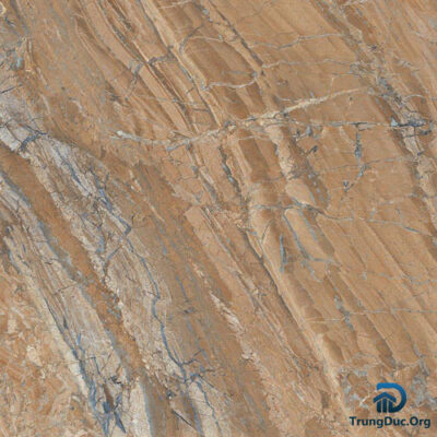 Gạch Apodio 66283015 men bóng màu nâu vân đá, kích thước 60x60 cm