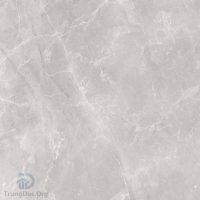 Gạch Apodio 66284028 men bóng vân đá ghi, kích thước 60x60 cm