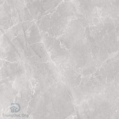 Gạch Apodio 66284028 men bóng vân đá ghi, kích thước 60x60 cm
