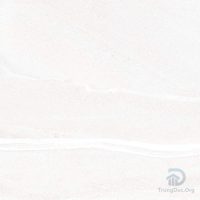 Gạch Apodio 66285022 men bóng vân đá ghi, kích thước 60x60 cm