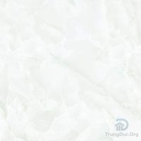 Gạch Apodio 66285031 men bóng màu xanh vân đá, kích thước 60x60 cm