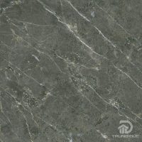 Gạch Apodio FA662205 men sugar, kích thước 60x60 cm