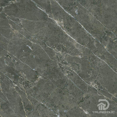 Gạch Apodio FA662205 men sugar, kích thước 60x60 cm