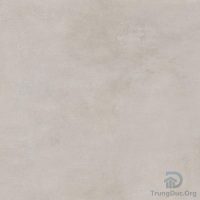 Gạch Apodio LC664302 men matt màu nâu, kích thước 60x60 cm