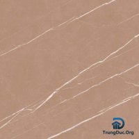 Gạch Apodio NS661183 men matt màu nâu, kích thước 60x60 cm