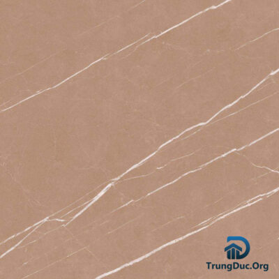Gạch Apodio NS661183 men matt màu nâu, kích thước 60x60 cm