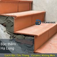 Gạch cổ bậc không men Viglacera 50x30cm