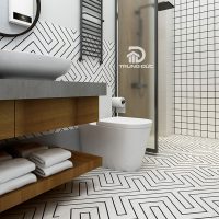 Gạch bông 30x30 lát nền phòng vệ sinh