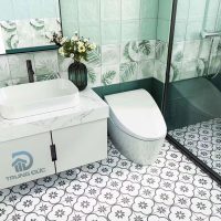 Gạch bông lát nền phòng tắm TDGB20-013