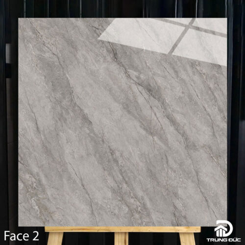 Gạch 100x100cm Catalan 10016 face 2