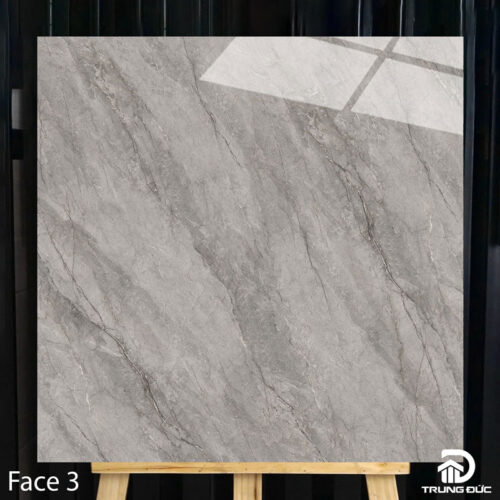 Gạch 100x100cm Catalan 10016 face 3