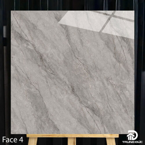 Gạch 100x100cm Catalan 10016 face 4