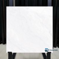 Gạch 60x60 Catalan 65003 porcelain men bóng