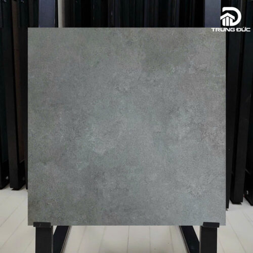 Gạch 60x60 Viglacera MDK662005 granite men matt