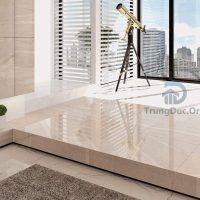 Gạch Apodio 66283020 men bóng, kích thước 60x60 cm 4 %tên tệp%