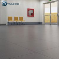 Gạch lát nền granite 60x60 Viglacera TSMT604