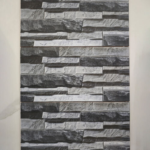 Gạch ốp tường ngoài trời 25x50 cm 2507