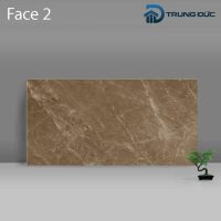 Gạch Porcelain Catalan 3205 màu nâu men bóng, 8 biến thể, 30x60 (cm) 9 %tên tệp%