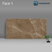 Gạch Porcelain Catalan 3205 màu nâu men bóng, 8 biến thể, 30x60 (cm)