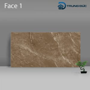 Gạch Porcelain Catalan 3205 màu nâu men bóng, 8 biến thể, 30x60 (cm)