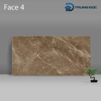 Gạch Porcelain Catalan 3205 màu nâu men bóng, 8 biến thể, 30x60 (cm) 11 %tên tệp%