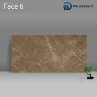 Gạch Porcelain Catalan 3205 màu nâu men bóng, 8 biến thể, 30x60 (cm) 13 %tên tệp%