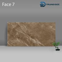 Gạch Porcelain Catalan 3205 màu nâu men bóng, 8 biến thể, 30x60 (cm) 14 %tên tệp%