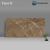 Gạch Porcelain Catalan 3205 màu nâu men bóng, 8 biến thể, 30x60 (cm) 15 %tên tệp%