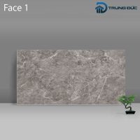 Gạch Porcelain Catalan 3202 vân đá ghi đậm men bóng, 6 biến thể, 30x60 (cm)