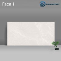 Gạch Porcelain Catalan 3204 men bóng, 6 biến thể, 30x60 (cm)